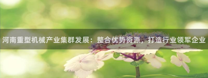 富联娱乐分红怎么样啊