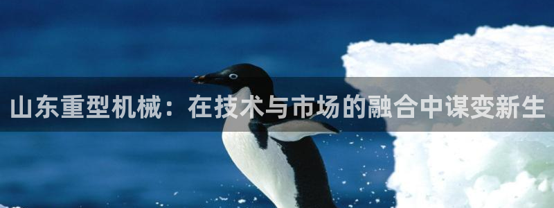 富联娱乐主管地判官333OO