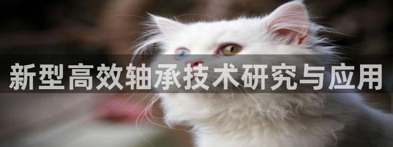 富联娱乐公司简介资料