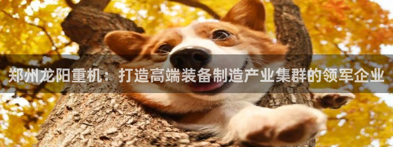 富联娱乐主管是谁呀老板