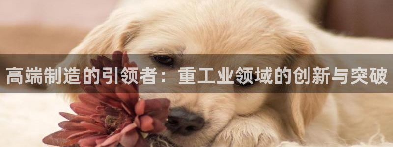 富联娱乐q