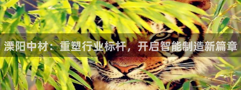 富联娱乐平台特点分析