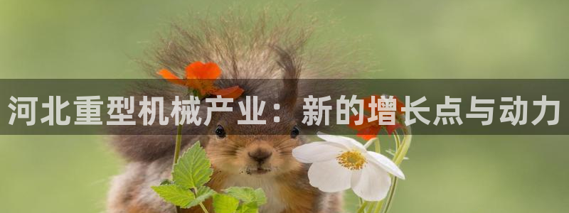 富联娱乐开户费用查询表