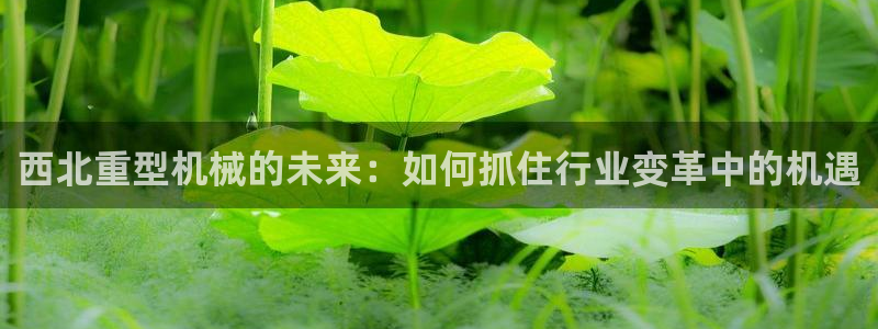 富联娱乐总裁简介图片高清