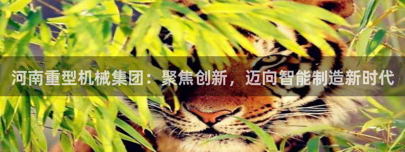 富联娱乐分红怎么样