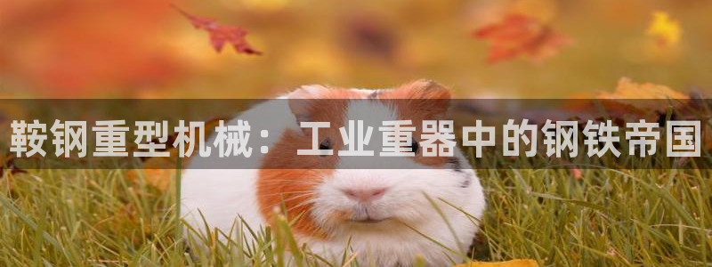 富联娱乐招商电话