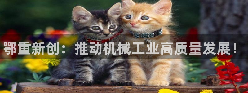 富联娱乐主管是谁啊老板