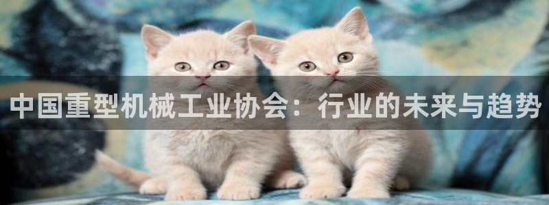 富联娱乐客户端下载不了