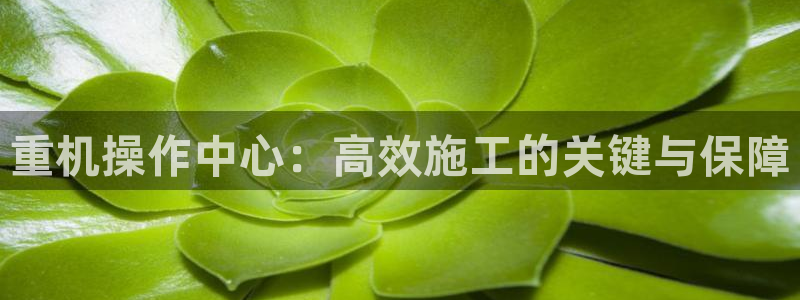 富联娱乐主管留判官333OO
