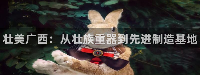 富联娱乐主管右原判官333OO