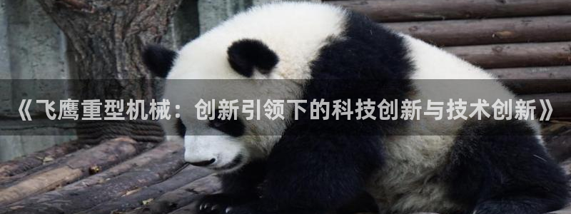 富联娱乐代理是谁的产品