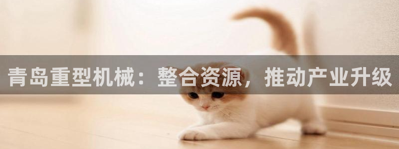 富联娱乐分红