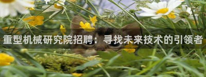 富联娱乐主管么67O77逐风