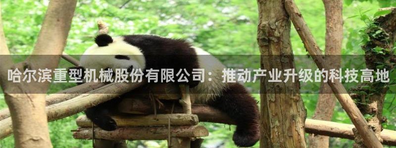 富联2娱乐元哥