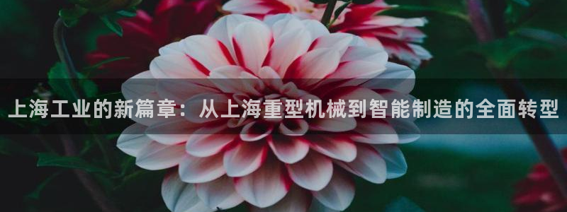 莱西联富娱乐