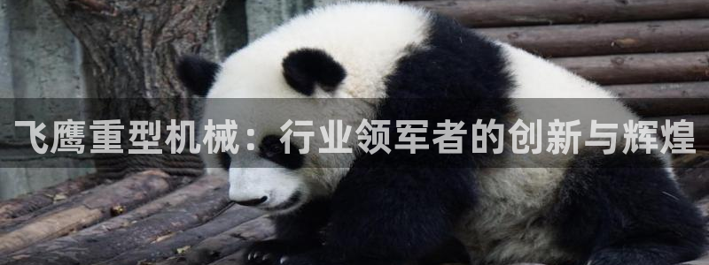 富联2娱乐资讯官网