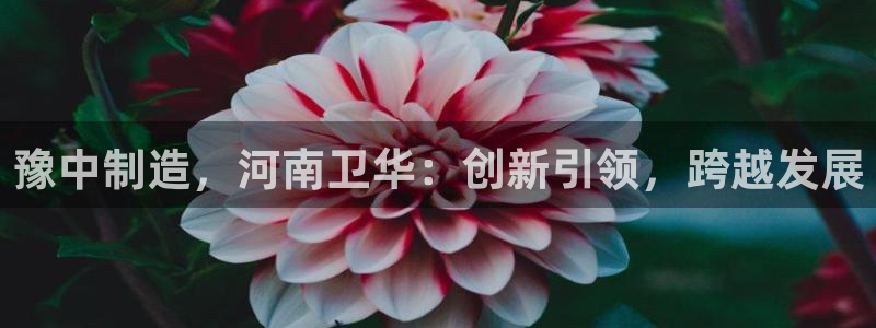 富联娱乐认定七八六