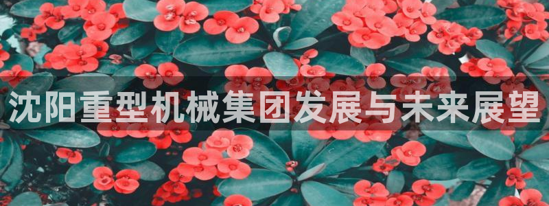 富联娱乐官方网站入口